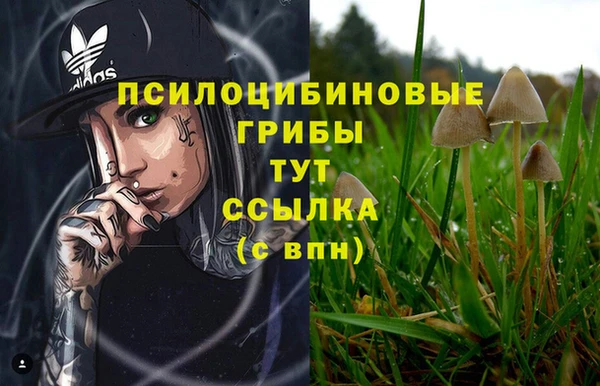 кристаллы Абаза
