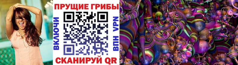 закладки  Серафимович  Псилоцибиновые грибы GOLDEN TEACHER 